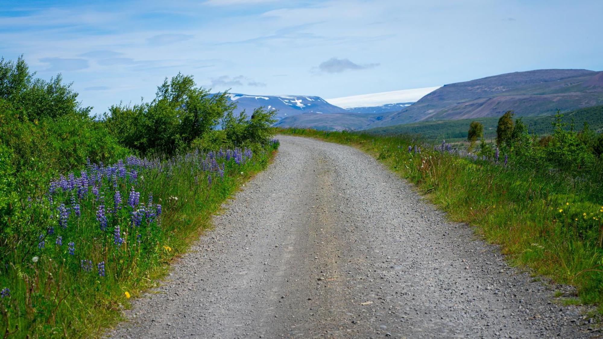 Hótel Á Reykholt  Esterno foto